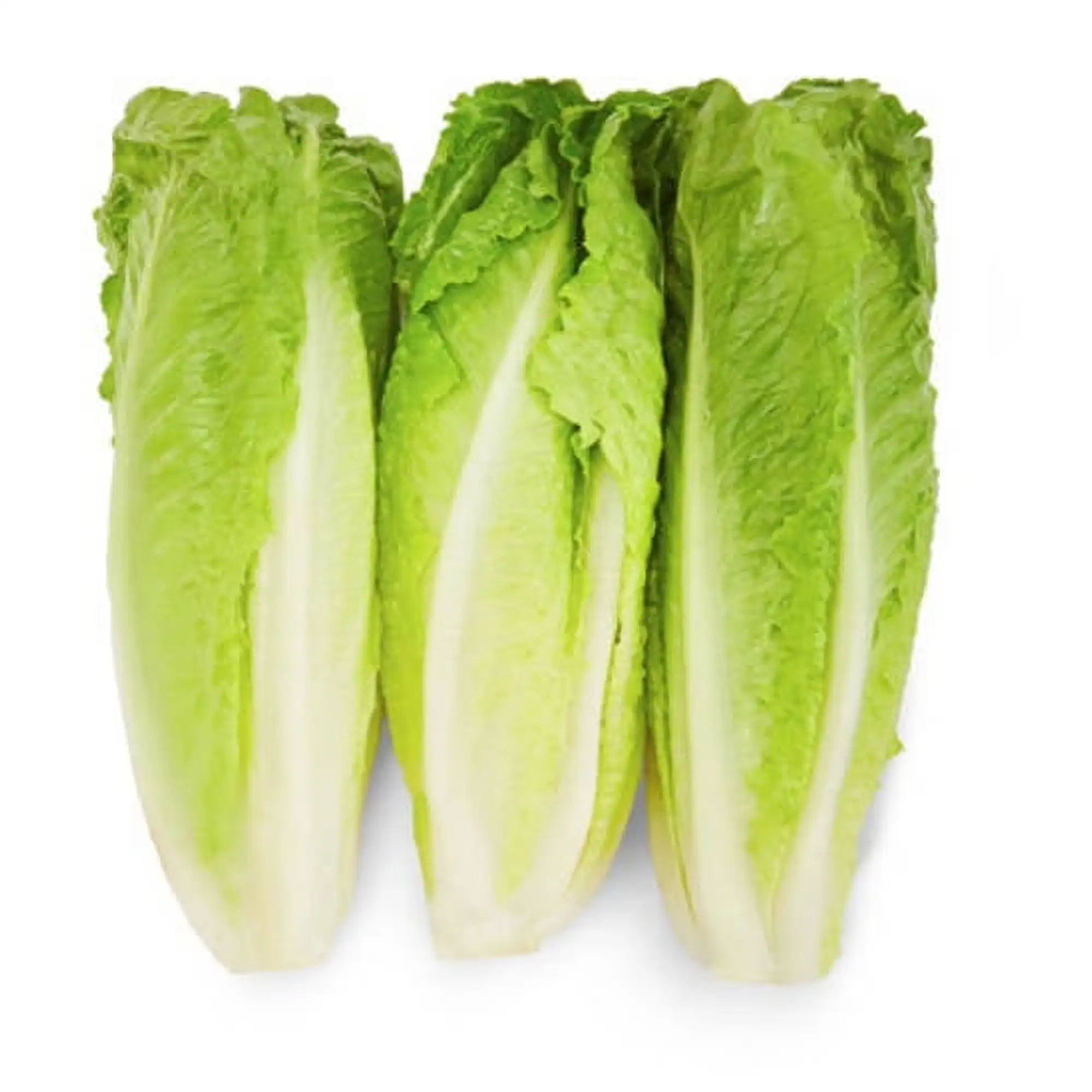 Fresh Romaine Lettuce Hearts 3 Count Each